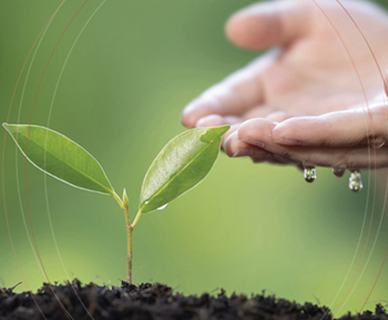 Hottest Global Average Temperature article